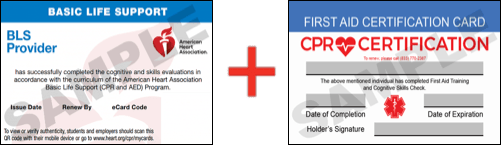 Sample American Heart Association AHA BLS CPR Card Certificaiton and First Aid Certification Card from CPR Certification Allentown
