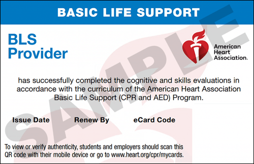 Sample American Heart Association AHA BLS CPR Card Certification from CPR Certification Allentown